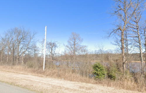 A serene landscape featuring a river, bare trees, and a clear blue sky alongside a grassy roadside.