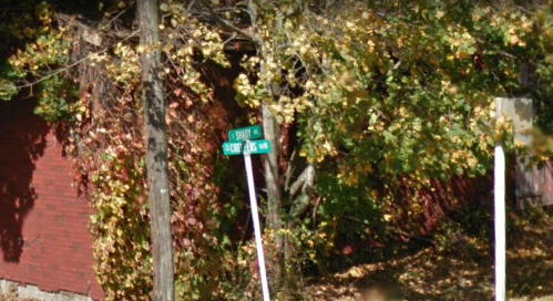 A street sign for "Sparrow St" partially obscured by trees and autumn leaves, with a red building in the background.