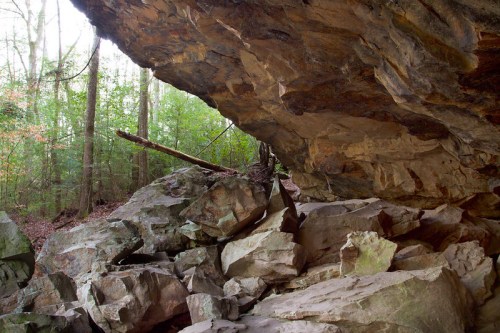 A rocky overhang in a forest, with large boulders and trees in the background, creating a natural cave-like setting.