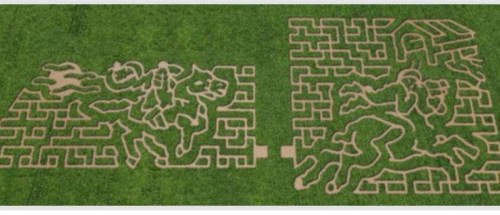 Aerial view of a corn maze featuring a horse rider and a scene with a house, both intricately designed in the grass.