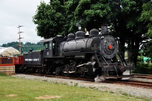 A vintage steam locomotive with a black exterior, moving along tracks surrounded by greenery and trees.