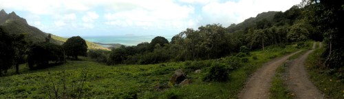 A panoramic view of a lush green landscape with a dirt path leading to a coastline and distant mountains under a blue sky.