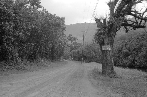 A dirt road lined with trees, leading to a sign on a tree, with mountains in the background under a cloudy sky.