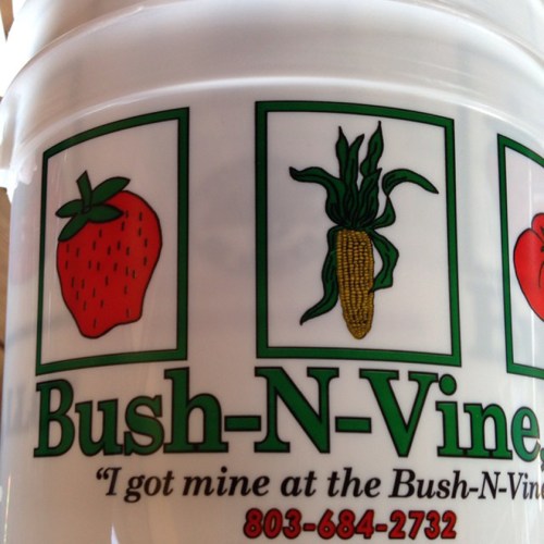 A bucket featuring a strawberry, corn, and a green vegetable, with the text "Bush-N-Vine" and a phone number.