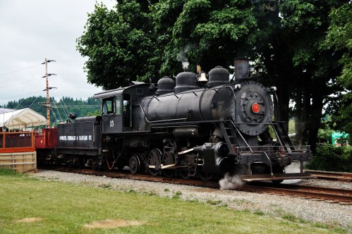 A vintage steam locomotive parked on tracks, surrounded by trees and power lines, with smoke billowing from the chimney.