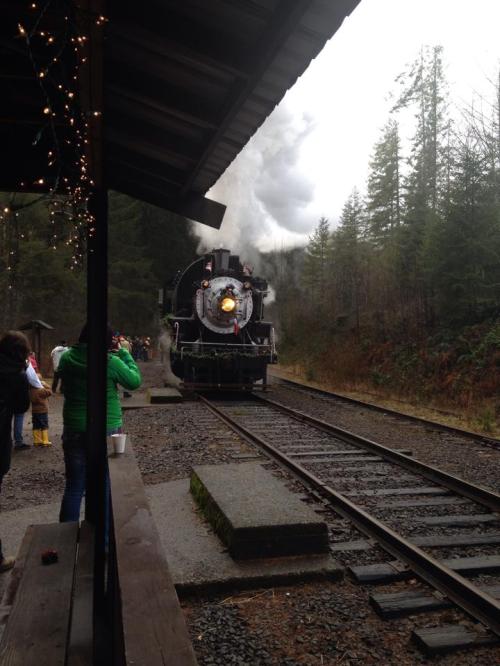 A vintage steam train approaches a station surrounded by trees, with people watching from a nearby platform.
