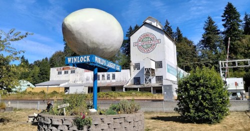 A large egg sculpture in front of a historic building in Winlock, surrounded by trees and grass.