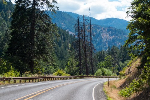 Winding road through a forested area with mountains in the background and tall trees lining the roadside.