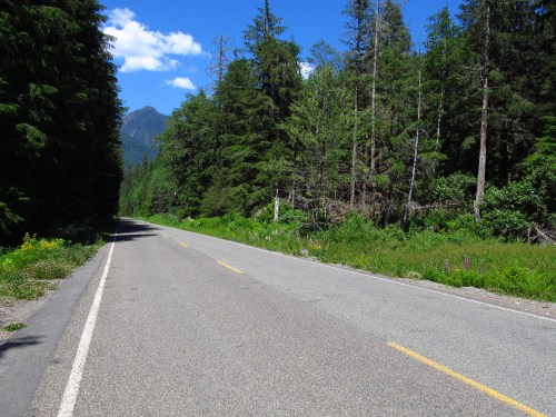 A quiet, empty road lined with trees and greenery, leading towards distant mountains under a clear blue sky.