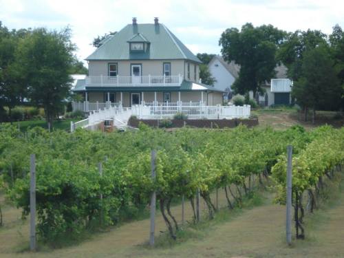 A large house with a green roof surrounded by lush vineyards under a cloudy sky.