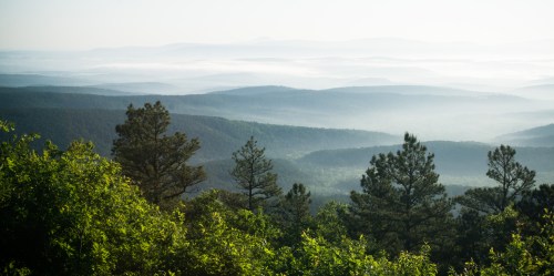 A misty landscape of rolling hills and dense forests under a soft morning light.