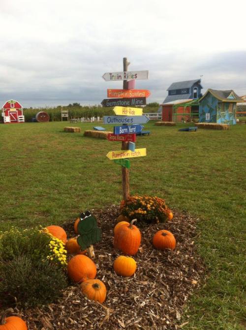 Colorful signpost with directions to various attractions in a pumpkin patch, surrounded by pumpkins and fall decor.