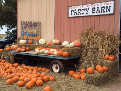 A rustic farm stand displays a variety of pumpkins and gourds, surrounded by hay bales and a colorful sign.