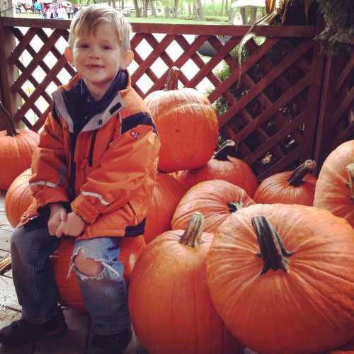 A smiling child in an orange jacket sits among large pumpkins on a wooden deck.