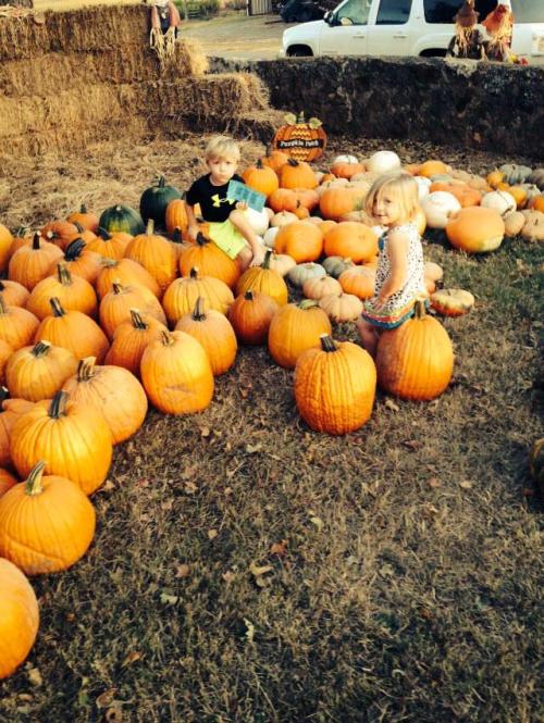 Two children sitting among a large patch of pumpkins, with hay bales in the background and a sign for a pumpkin patch.