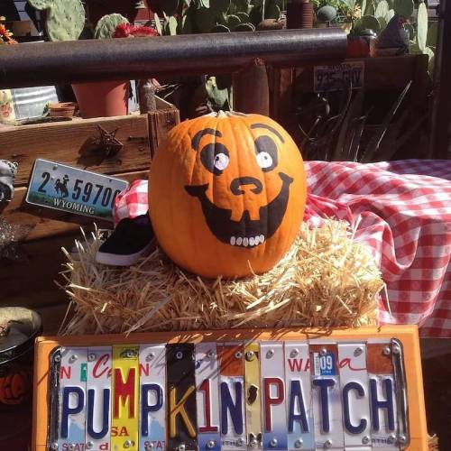 A smiling pumpkin with a cartoonish face sits on hay, next to a colorful "Pumpkin Patch" sign. Cacti are in the background.