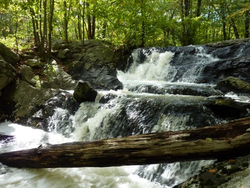 A serene waterfall cascades over rocky terrain, surrounded by lush green trees and a fallen log in the foreground.