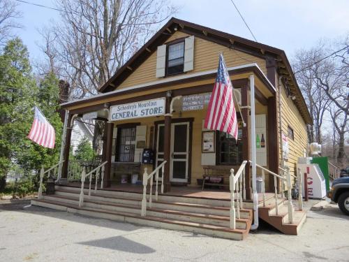 A yellow general store with American flags, featuring a porch and steps, surrounded by trees in a rural setting.
