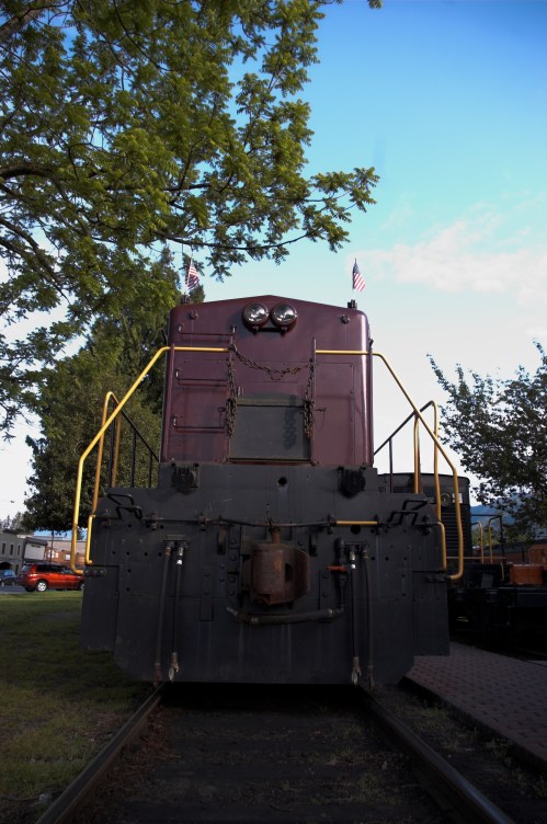 Front view of a vintage train engine with flags, surrounded by greenery and a clear blue sky.