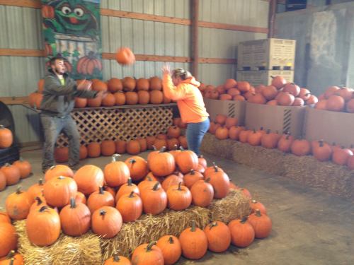 Two people in a barn tossing pumpkins, surrounded by stacks of pumpkins and hay bales.