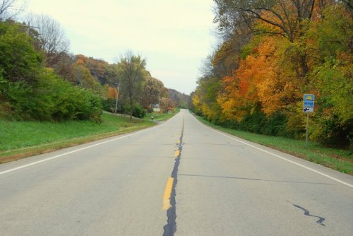 A straight road lined with trees displaying vibrant autumn colors under a cloudy sky.