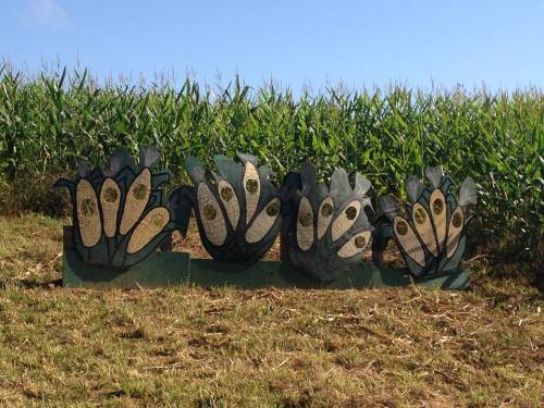 A decorative corn-themed sculpture in front of a lush green cornfield under a clear blue sky.