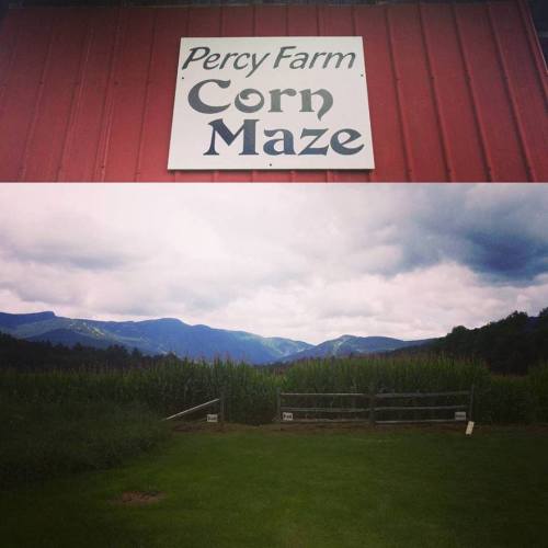 Sign for Percy Farm Corn Maze with a scenic view of mountains and cornfields under a cloudy sky.