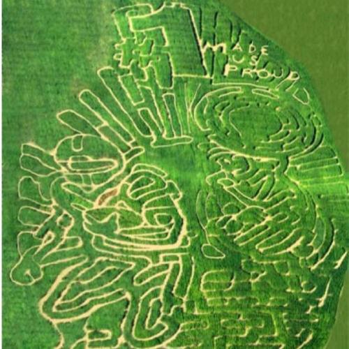 Aerial view of a green field with intricate crop designs, featuring the text "#1 MADE US PROUD" and abstract shapes.