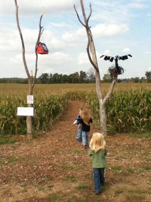 Three children walk down a path in a cornfield, flanked by two bare trees with decorations.