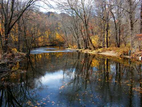 A serene river surrounded by bare trees and autumn foliage, reflecting the colorful landscape on a clear day.