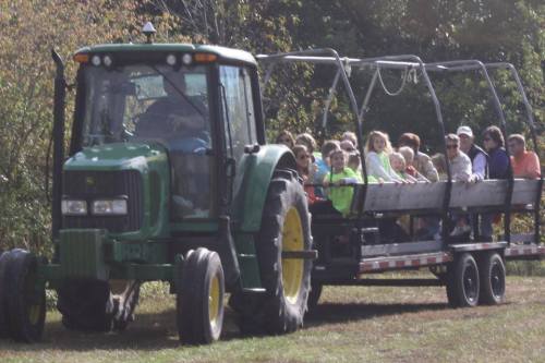 A green tractor pulls a trailer filled with children enjoying a ride through a grassy area.