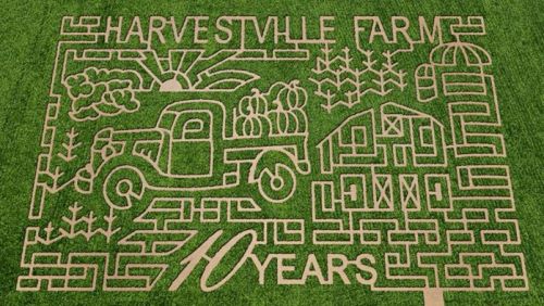 A grass maze design featuring a truck, barn, and farm elements, celebrating "Harvestville Farm 10 Years."