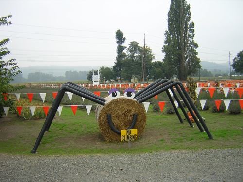 A large spider sculpture made of hay bales and black pipes, with a sign reading "No Climbing" in front.