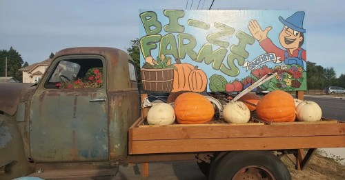 An old truck with a colorful sign for "Bi-Zi Farms" and pumpkins in the back, set against a rural backdrop.