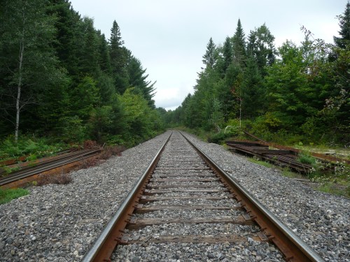 A view of a straight railway track surrounded by dense trees and greenery under a cloudy sky.