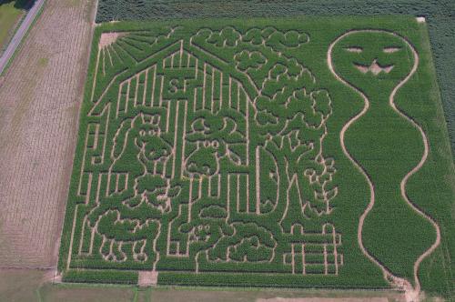 Aerial view of a corn maze featuring animals, trees, and a smiling figure, all intricately designed in green foliage.