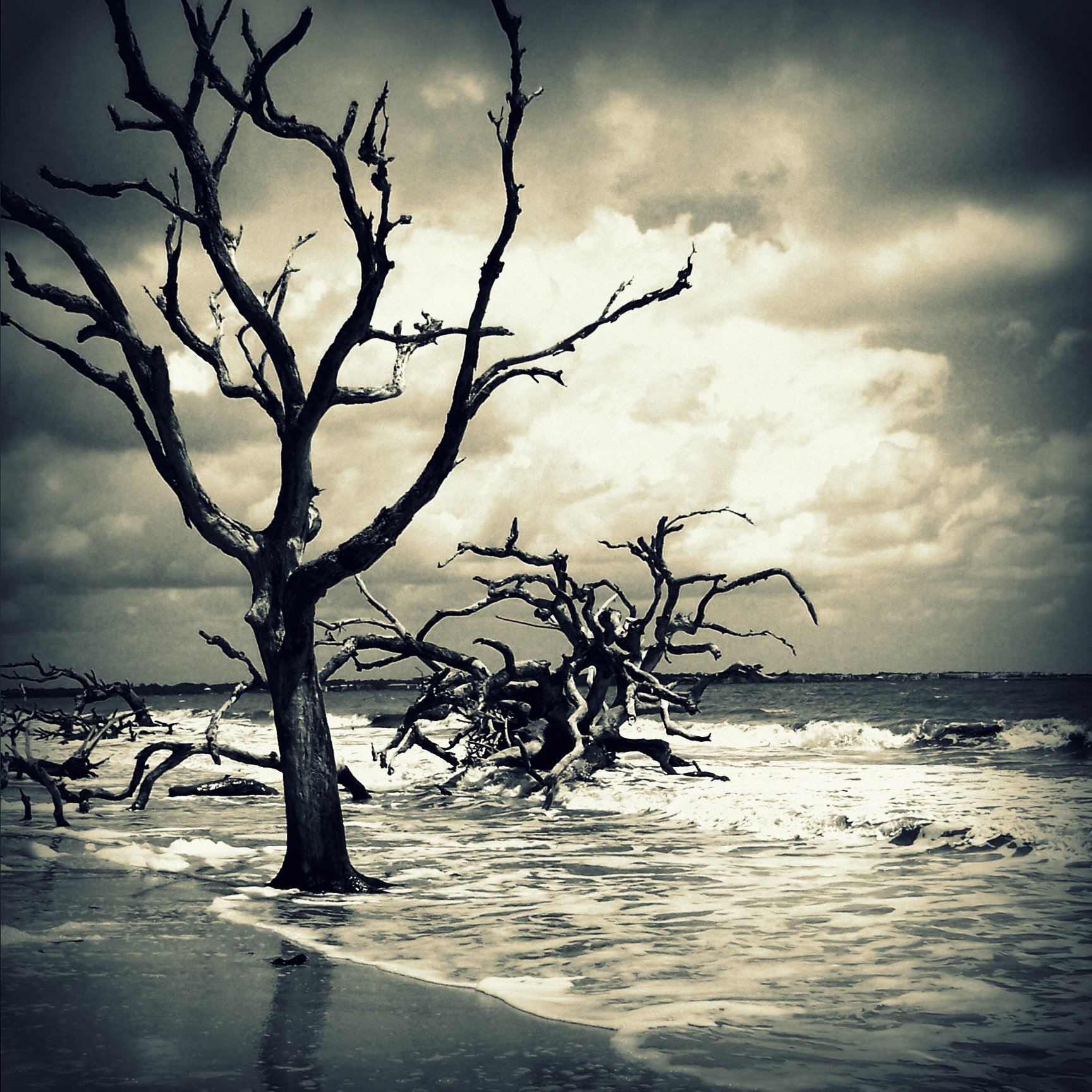 Tribtown'S Incredible Natural Wonders. - pdpmrek