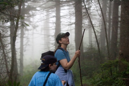 Two people in a misty forest, one holding a stick and looking up, while the other stands nearby, both in casual attire.