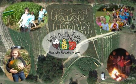 Aerial view of Wise Family Farm featuring a corn maze, children enjoying activities, and a logo with farm produce.
