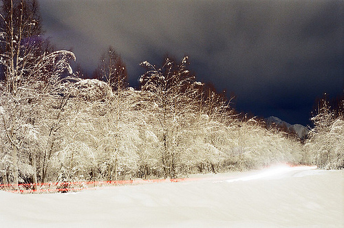 A snowy landscape with trees covered in white, under a dark, cloudy sky. A faint light glows in the distance.