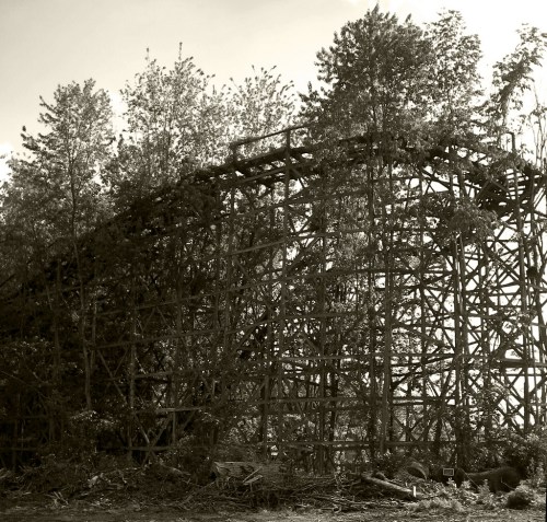 Abandoned wooden roller coaster overgrown with trees, captured in a sepia tone.
