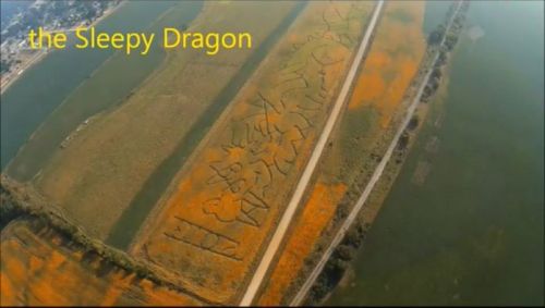 Aerial view of a landscape with orange flowers and a path, labeled "the Sleepy Dragon."