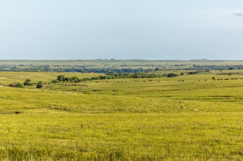 A vast, open landscape of green fields and distant hills under a clear blue sky.