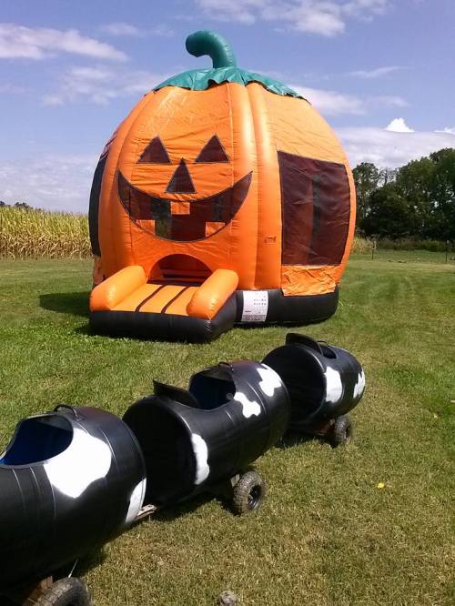 A large inflatable pumpkin bounce house with a smiling jack-o'-lantern face, next to a small black cow-themed train.
