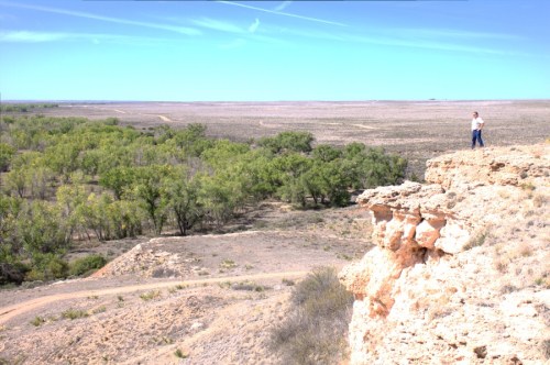 A person stands on a rocky cliff overlooking a vast, open landscape with sparse trees and a clear blue sky.