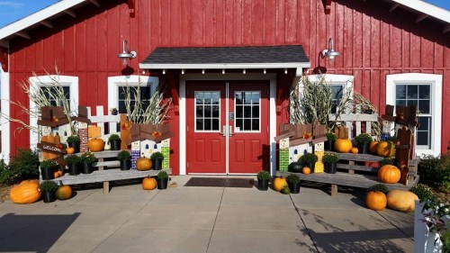 A red barn with a welcoming entrance, decorated with pumpkins and plants on wooden benches.