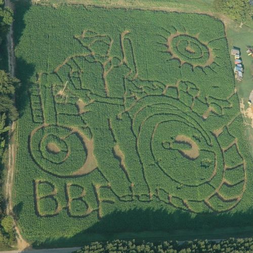 Aerial view of a corn maze featuring a farmer on a tractor and a sun design, with "BBF" carved into the crops.