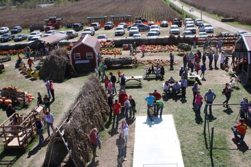 A bustling pumpkin patch with people, hay bales, and parked cars in the background on a sunny day.