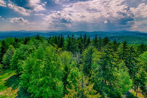 A panoramic view of lush green trees and distant mountains under a partly cloudy sky.