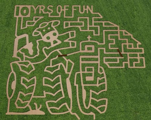 A large maze design carved into grass, celebrating "10 Years of Fun" with intricate patterns and shapes.